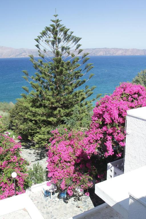 Delfini Apartments Киссамос Номер фото